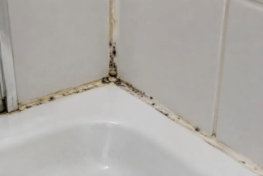 Kitbedrijf Doorwerth – beschimmelde kitranden